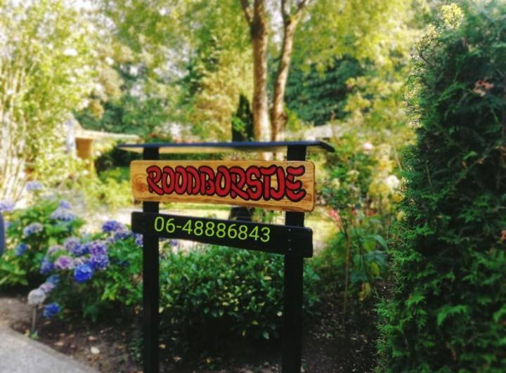 Roodborstje 4 Persoonschalet Putten Exterior foto